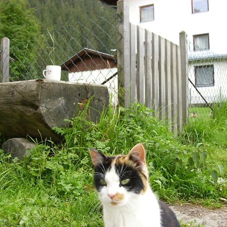 Apartments Seerhof Kaunertal Eksteriør bilde